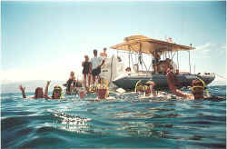 snorkel group.jpg (121502 bytes)